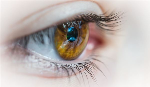 eyes